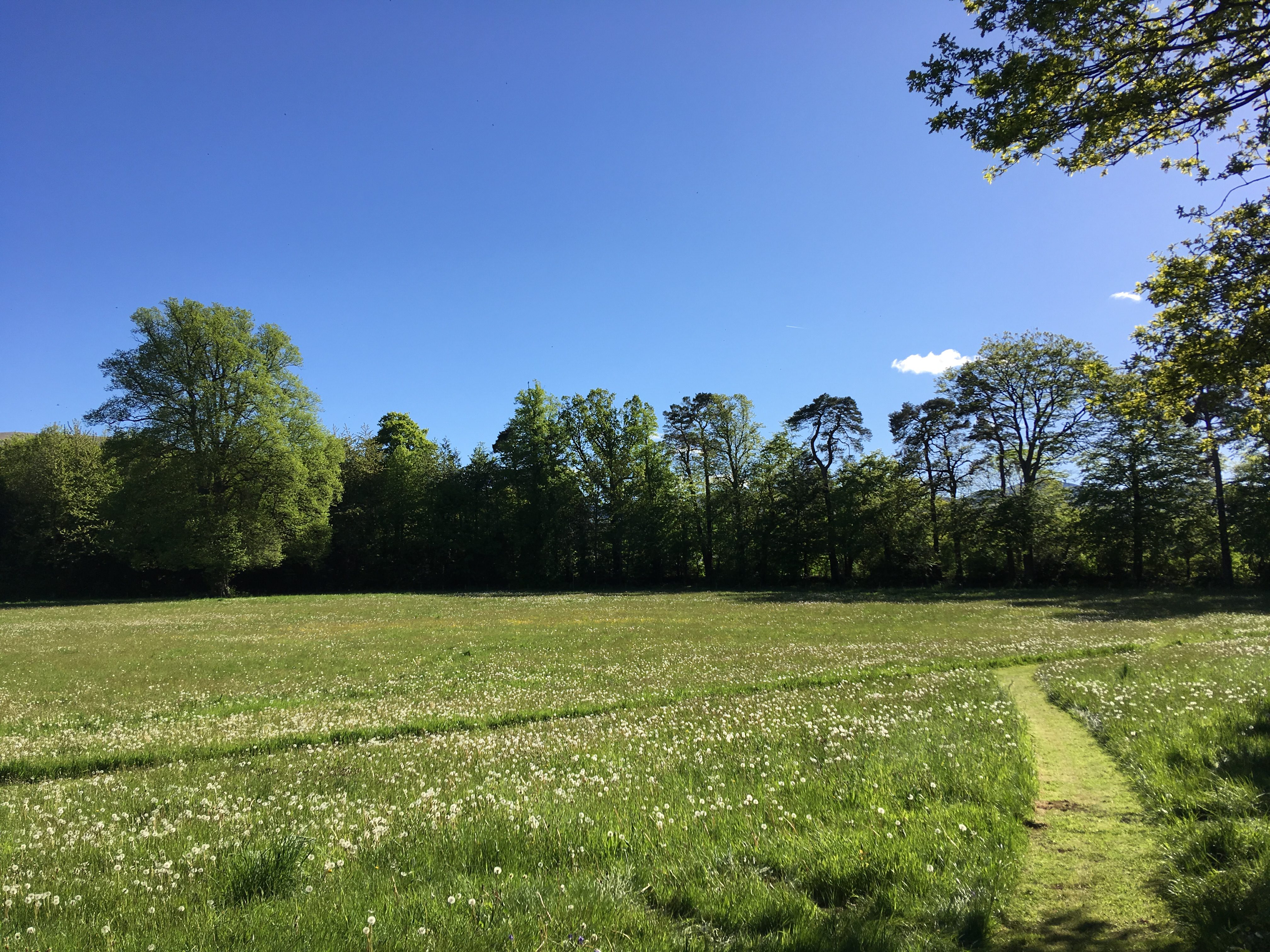 Twelve acres of private parkland surrounding the Ty Mawr Estate in Mid Wales