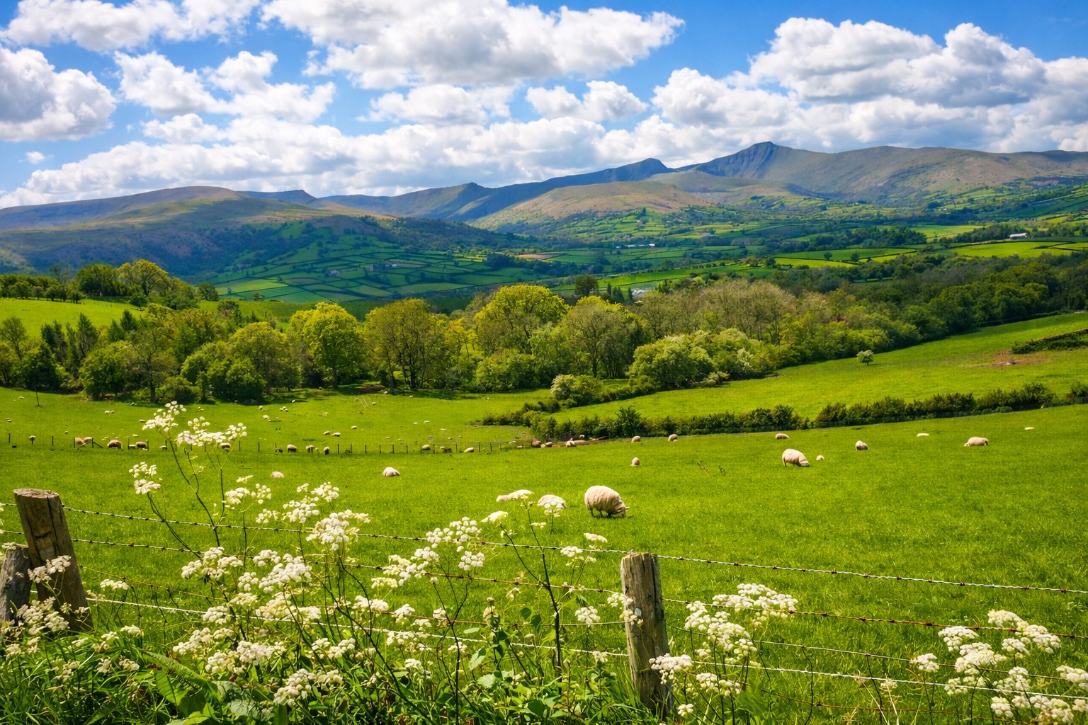 Golden hour light across the rolling green mountains of the Brecon Beacons National Park